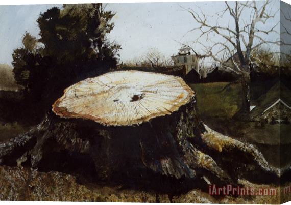 andrew wyeth The Big Oak Stretched Canvas Print / Canvas Art
