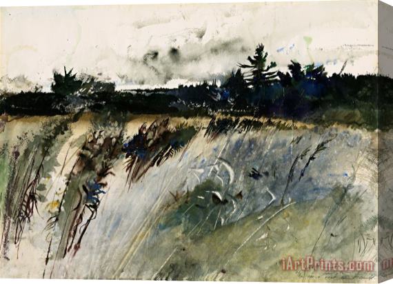 andrew wyeth Waldboro Woods Stretched Canvas Painting / Canvas Art