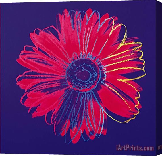 Andy Warhol Daisy C 1982 Blue And Red Stretched Canvas Print / Canvas Art