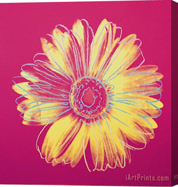 Andy Warhol Daisy C 1982 Fuschia And Yellow Stretched Canvas Painting / Canvas Art