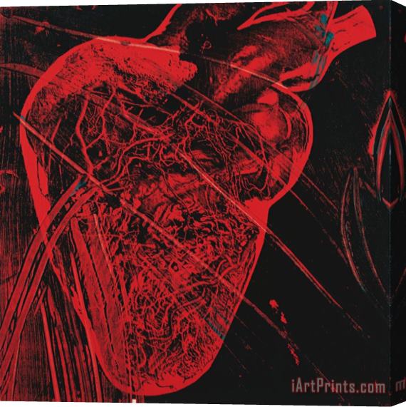 Andy Warhol Human Heart C 1979 Red with Veins Stretched Canvas Painting / Canvas Art