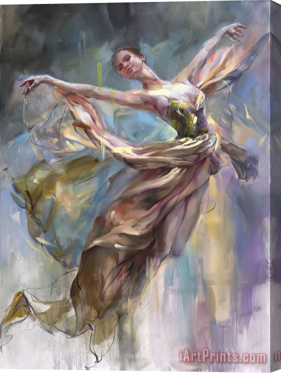 Anna Razumovskaya Dragonfly Stretched Canvas Print / Canvas Art