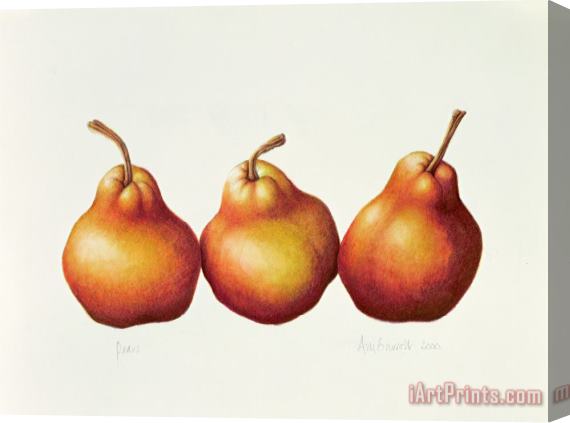Annabel Barrett Pears Stretched Canvas Print / Canvas Art