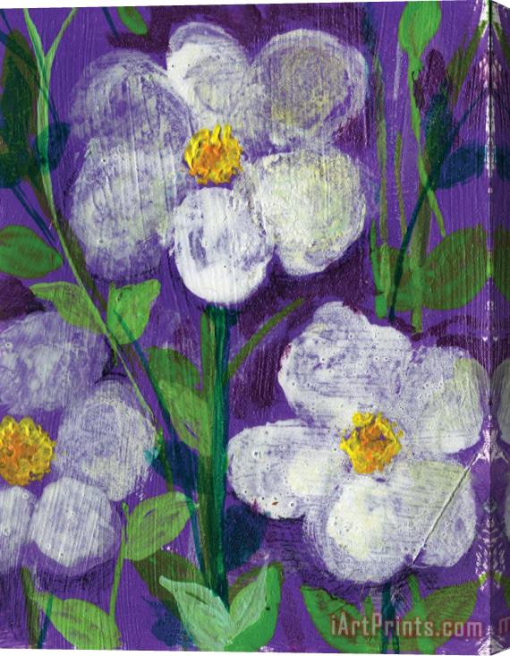 Ashleigh Dyan Moore Flowers in Moonlight Stretched Canvas Print / Canvas Art