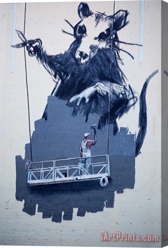 Banksy Gnark Stretched Canvas Print / Canvas Art