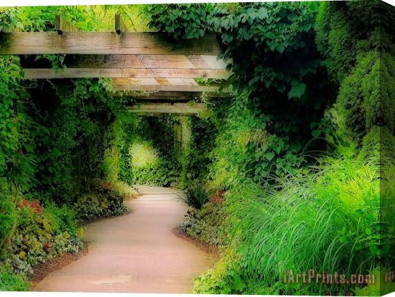 Blair Wainman Down the Garden Path Stretched Canvas Painting / Canvas Art