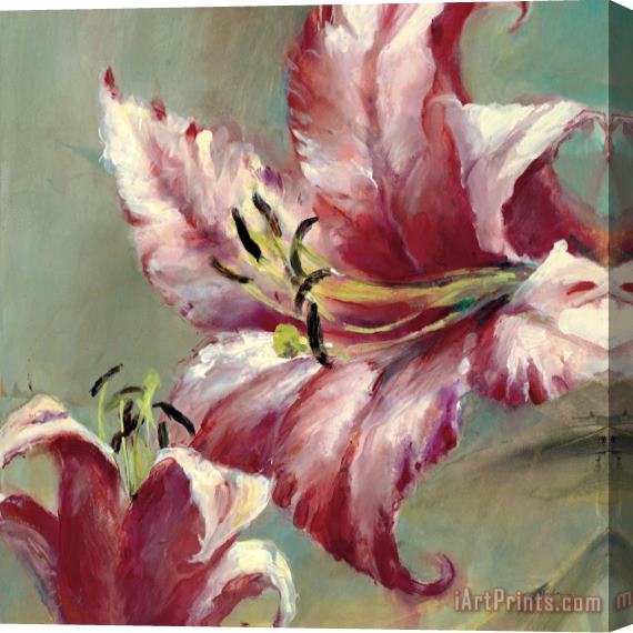 brent heighton Blooming Lily Stretched Canvas Print / Canvas Art