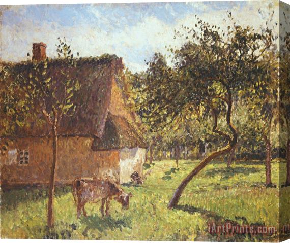 Camille Pissarro Field at Varengeville Stretched Canvas Painting / Canvas Art