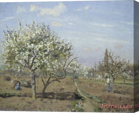Camille Pissarro Orchard in Bloom, Louveciennes Stretched Canvas Print / Canvas Art