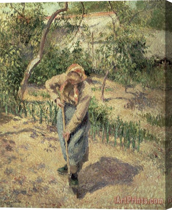 Camille Pissarro Woman Digging in an Orchard Stretched Canvas Print / Canvas Art