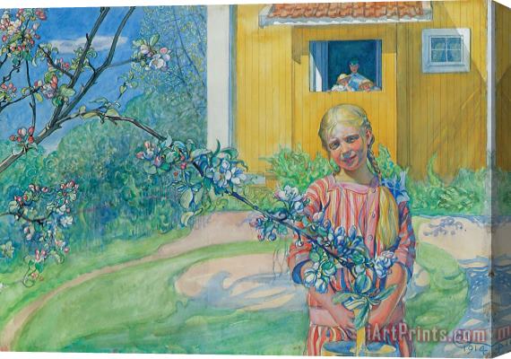 Carl Larsson Girl With Apple Blossom Stretched Canvas Print / Canvas Art