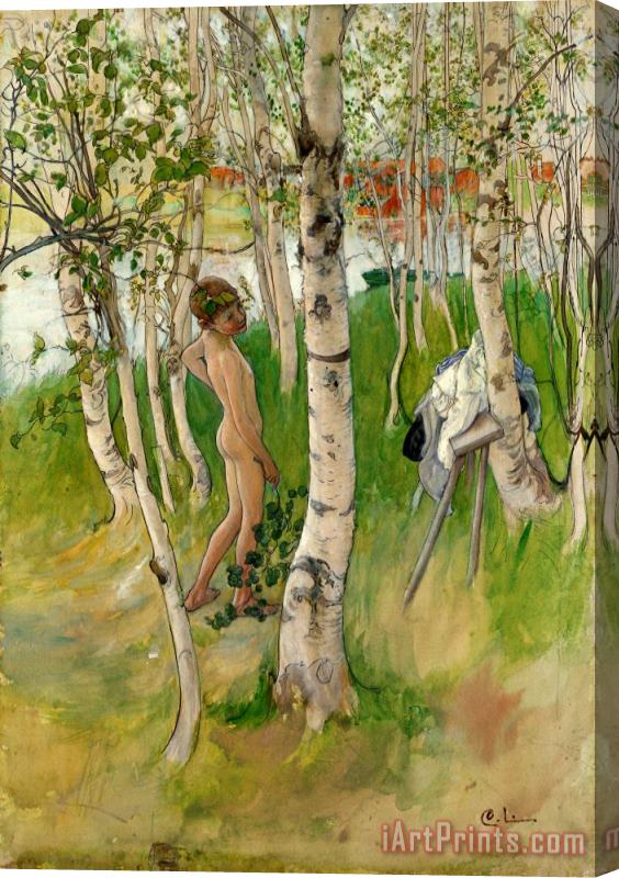 Carl Larsson Nude Boy Among Birches Stretched Canvas Print / Canvas Art