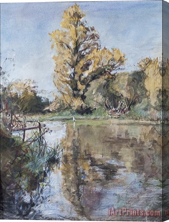 Caroline Hervey-Bathurst Early Autumn On The River Test Stretched Canvas Print / Canvas Art