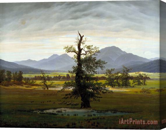 Caspar David Friedrich Landscape with Solitary Tree Stretched Canvas Painting / Canvas Art