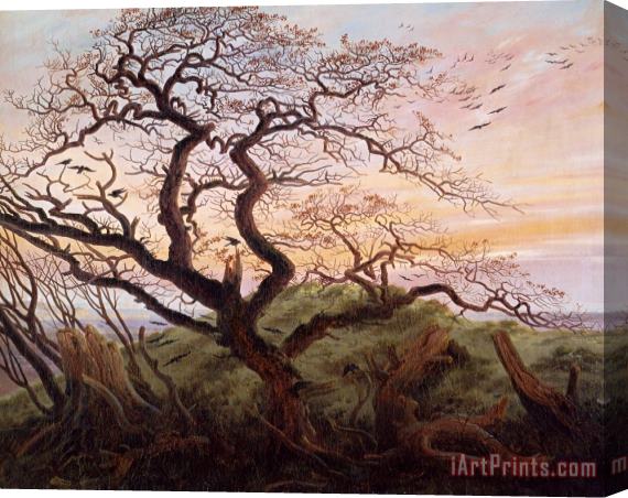 Caspar David Friedrich The Tree of Crows Stretched Canvas Painting / Canvas Art