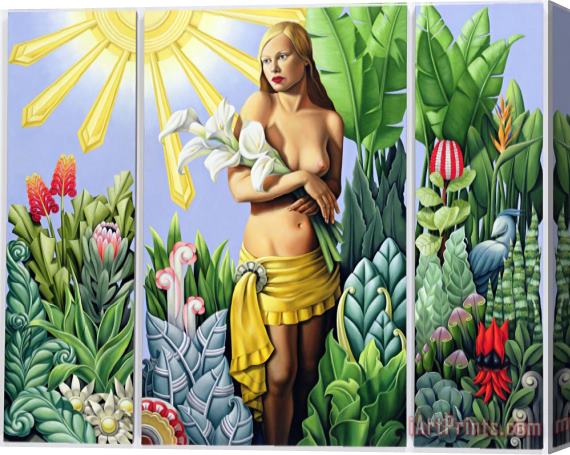 Catherine Abel Eden Stretched Canvas Painting / Canvas Art