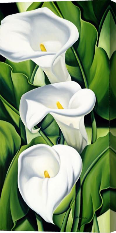 Catherine Abel Lilies Stretched Canvas Painting / Canvas Art