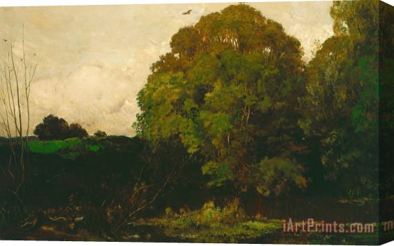Charles Francois Daubigny A Pond In The Morvan Stretched Canvas Print / Canvas Art