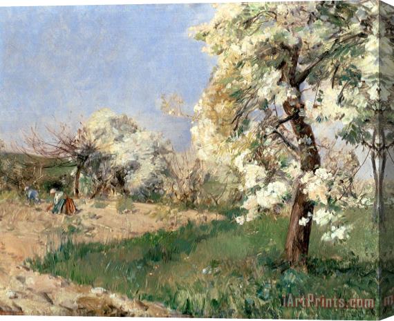 Childe Hassam Pear Blossoms Stretched Canvas Painting / Canvas Art