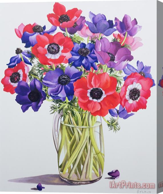 Christopher Ryland Anemones In A Glass Jug Stretched Canvas Print / Canvas Art