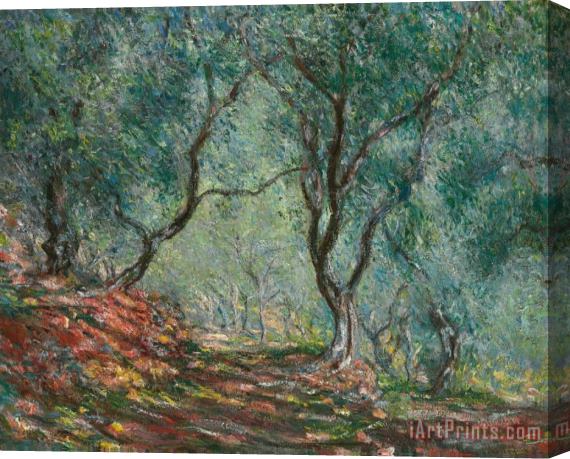 Claude Monet Olive Trees in the Moreno Garden Stretched Canvas Painting / Canvas Art
