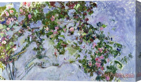 Claude Monet The Roses Stretched Canvas Print / Canvas Art