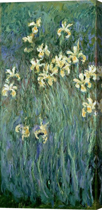 Claude Monet The Yellow Irises Stretched Canvas Print / Canvas Art