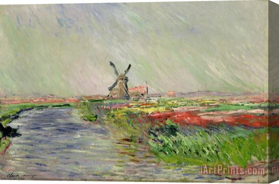 Claude Monet Tulip Field in Holland Stretched Canvas Painting / Canvas Art