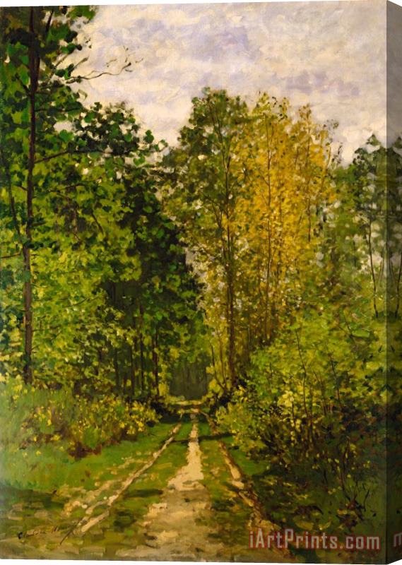Claude Monet Wooded Path Stretched Canvas Print / Canvas Art