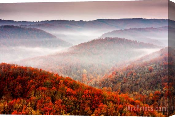 Collection 12 Autumn Fogs Stretched Canvas Print / Canvas Art