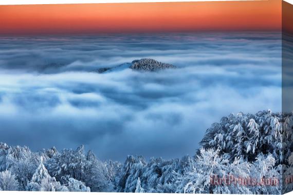 Collection 12 Bed of Clouds Stretched Canvas Print / Canvas Art