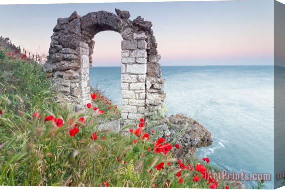 Collection 12 Gate in the Poppies Stretched Canvas Painting / Canvas Art
