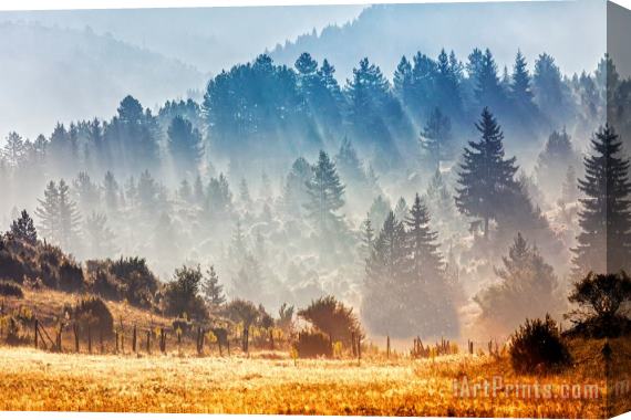 Collection 12 Sunny Morning Stretched Canvas Print / Canvas Art