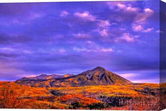 Collection 14 Autumn Glow Stretched Canvas Print / Canvas Art