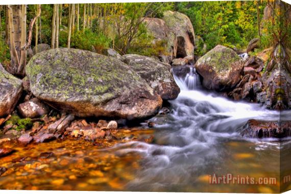 Collection 14 Rocky Mountain Stream Stretched Canvas Print / Canvas Art