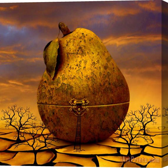 Collection 5 Forgotten Fruits Stretched Canvas Print / Canvas Art