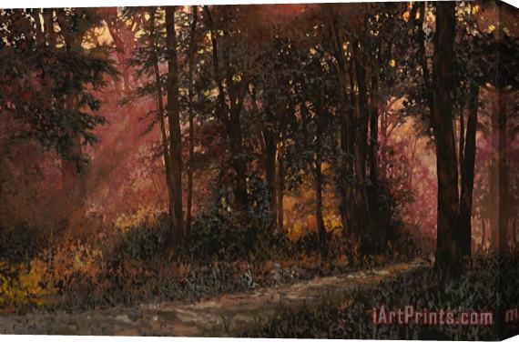 Collection 7 Luci Nel Bosco Stretched Canvas Painting / Canvas Art