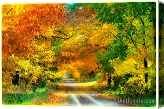 Collection 8 Autumn country lane Stretched Canvas Painting / Canvas Art