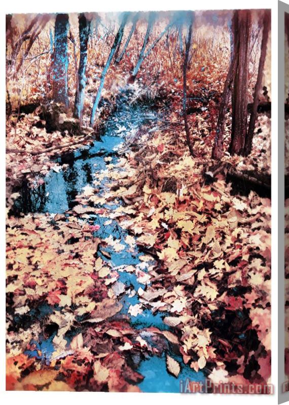 Collection 8 Autumn stream Stretched Canvas Print / Canvas Art