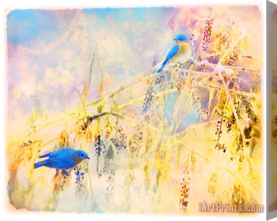 Collection 8 Bluebirds return Stretched Canvas Print / Canvas Art