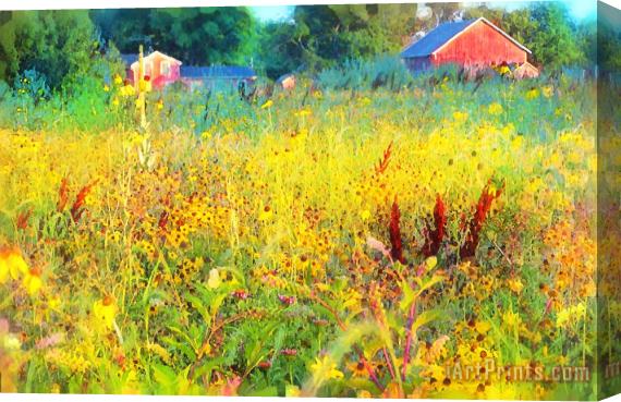 Collection 8 Prairie farm house Stretched Canvas Painting / Canvas Art