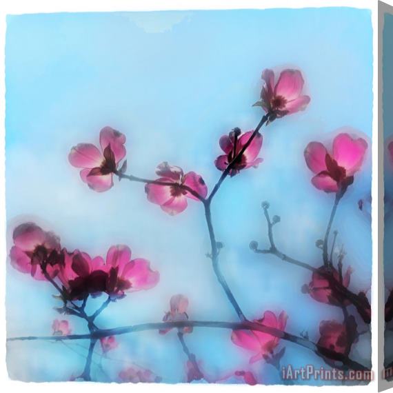 Collection 8 Spring blossom Stretched Canvas Painting / Canvas Art