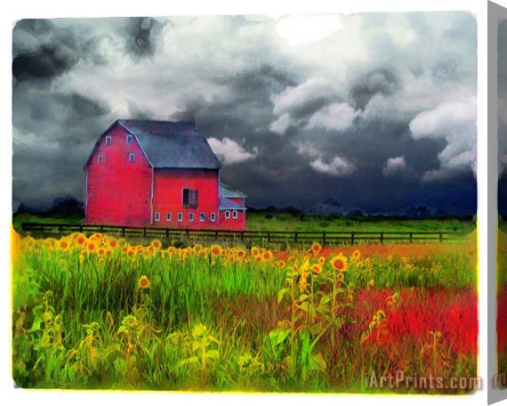 Collection 8 The red barn Stretched Canvas Painting / Canvas Art