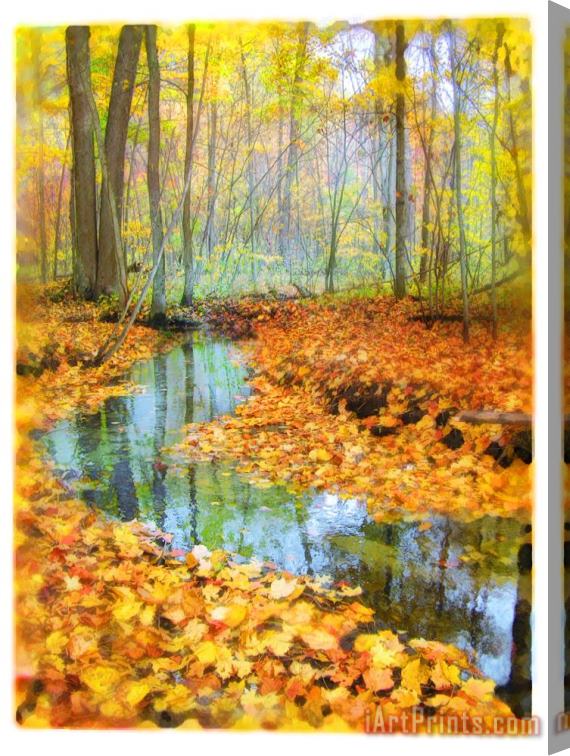 Collection 8 Woodland stream Stretched Canvas Painting / Canvas Art