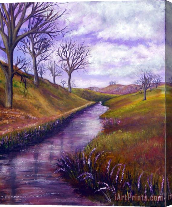 Collection 9 Derbyshire Brook Stretched Canvas Print / Canvas Art