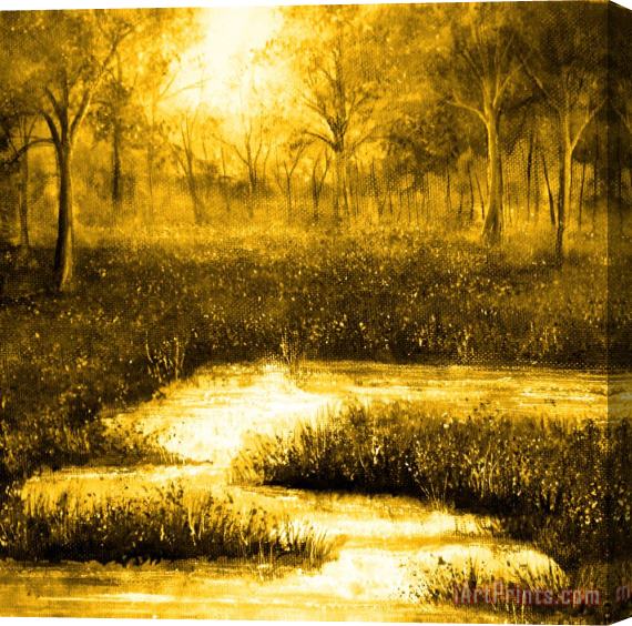 Collection 9 Golden Evening Stretched Canvas Print / Canvas Art