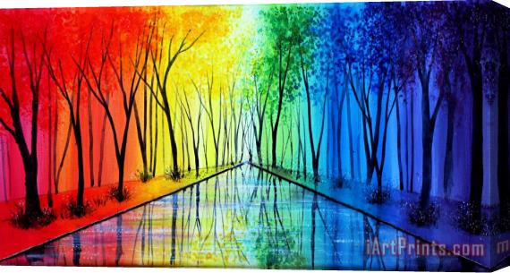 Collection 9 Into The Rainbow Stretched Canvas Print / Canvas Art