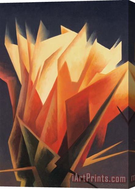 Collection Ed Mell Cactus Flower Stretched Canvas Painting / Canvas Art