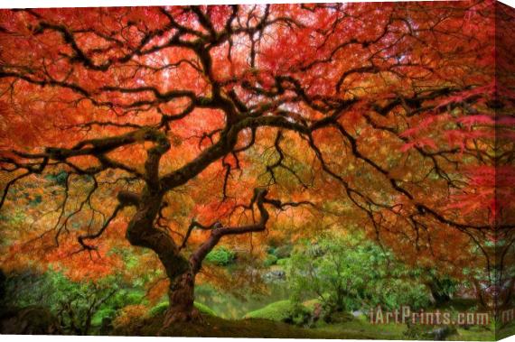 Collection Portland Japanese Garden Stretched Canvas Painting / Canvas Art