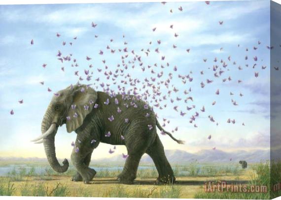 Collection The Journey by Bissell Elephant And Butterflies Stretched Canvas Print / Canvas Art